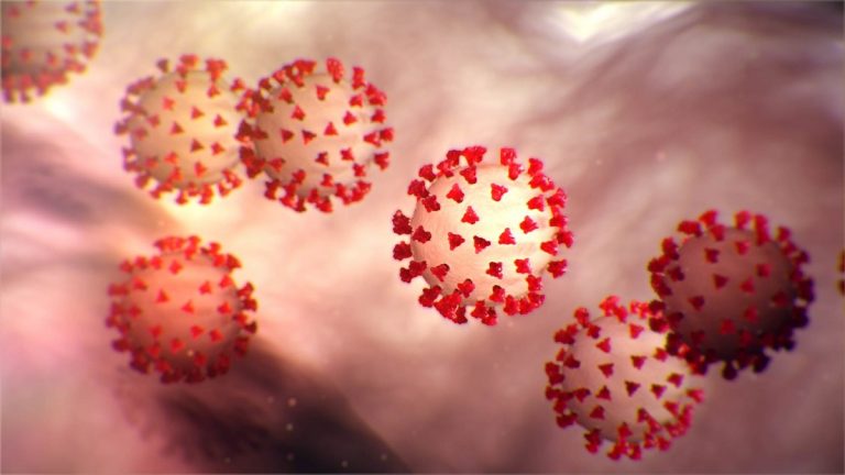 Coronavirus síntomas transmisión