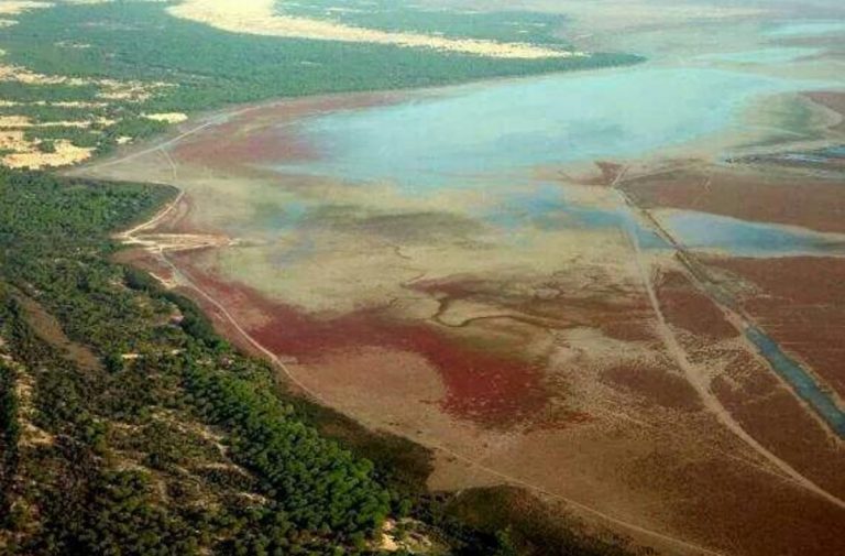Foto aérea del Parque de Doñana