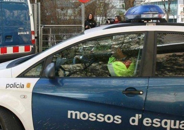 bebé bolsa deporte
