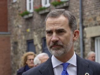 felipe vi cgpj