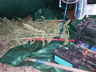 La Guardia Civil es tiroteada en una operación antidroga en la provincia de Cádiz.