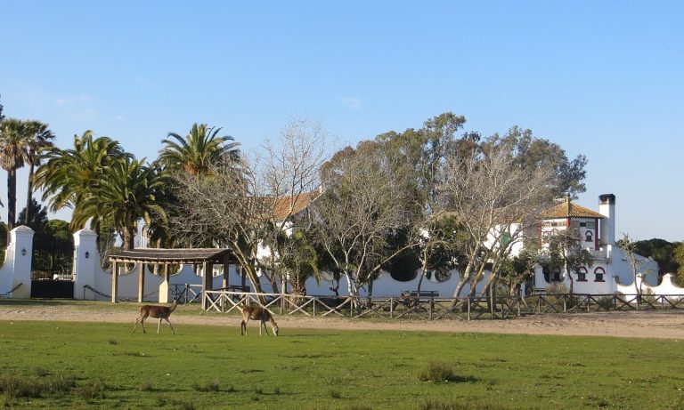 Palacio de las Marismillas