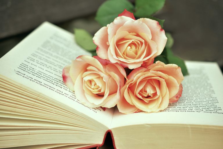 ¿Por qué se regala un libro y una rosa en la fiesta de Sant Jordi?