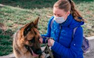 veterinario