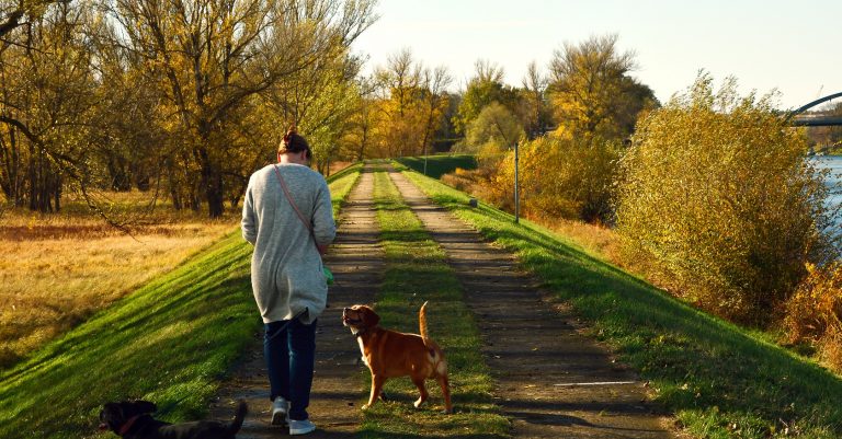 Mujer paseando perros