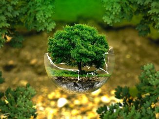 ecológico