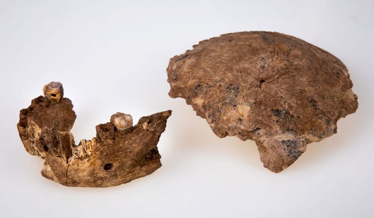 descubren humano prehistórico