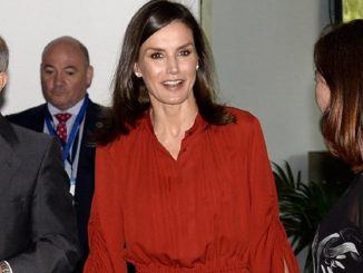 vestido letizia