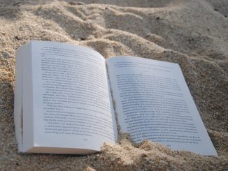 Libros para la playa qué leer bajo la sombrilla