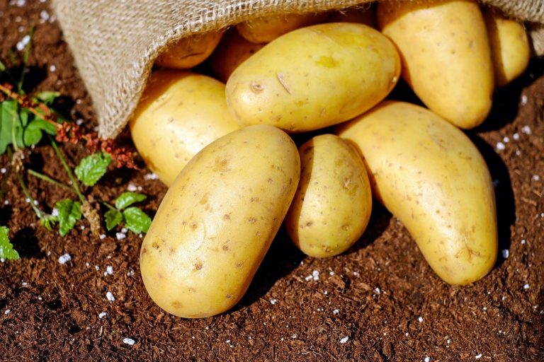 beneficios de las patatas