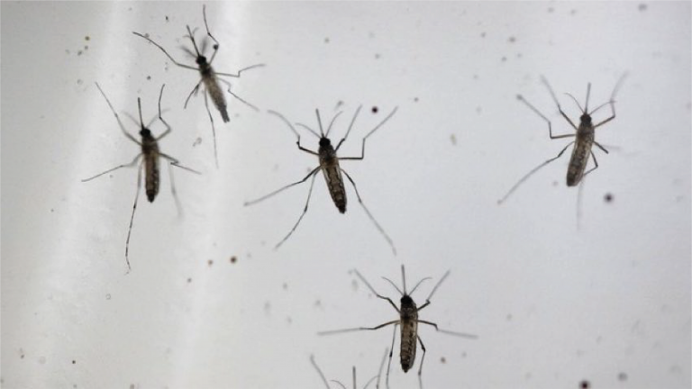 España Virus del Nilo
