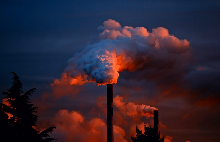 ONU pandemia crisis climática