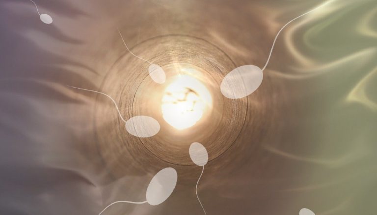 Cuanto se gana en España por donar esperma