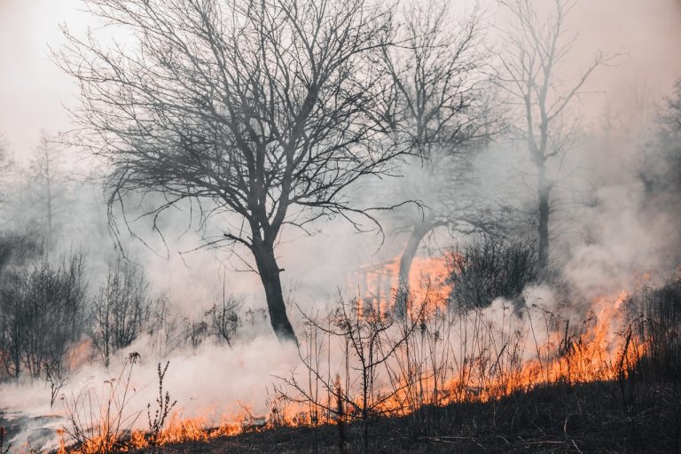 Qué son los incendios de sexta generación