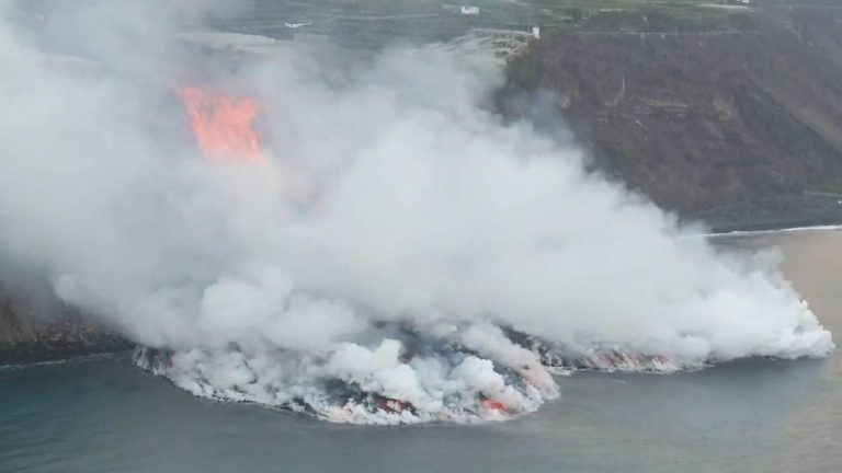 La Palma volcán peces
