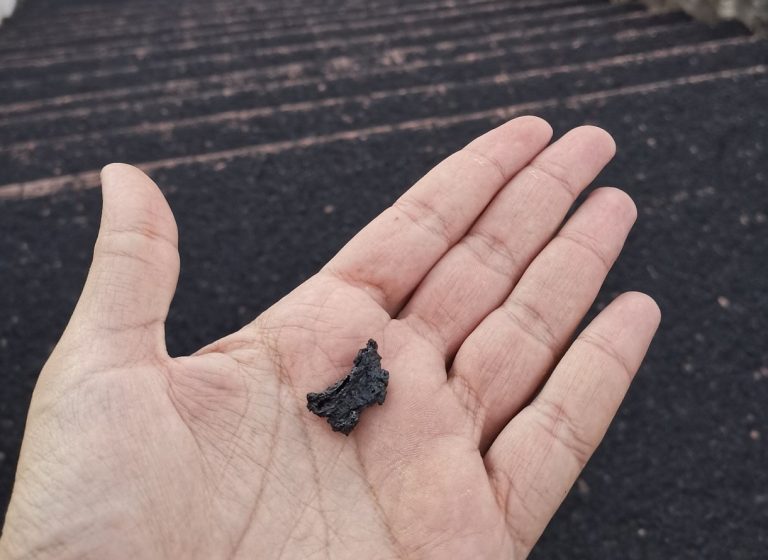 La palma y las bolas de ceniza