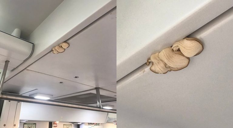 Setas en el techo de un vagon de Renfe Rodalies