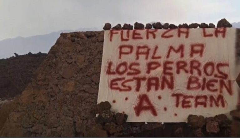 La Palma equipo A