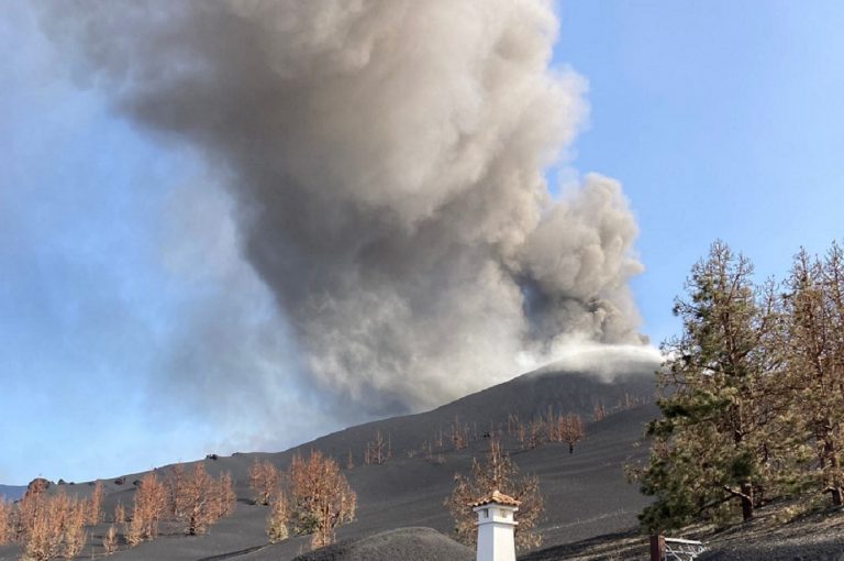 La palma ceniza aire
