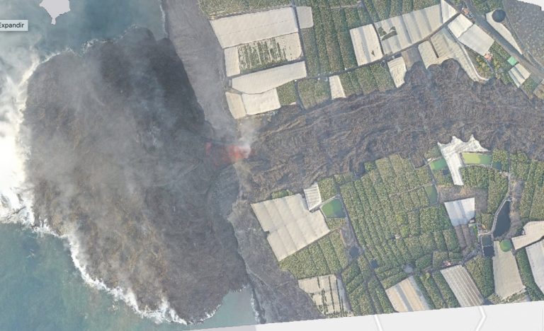 La palma propiedad del nuevo terreno
