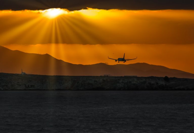 Palma