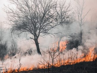 personas-investigadas-incendios-forestales