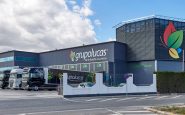 grupolucas
