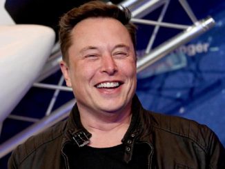 elon musk twitter