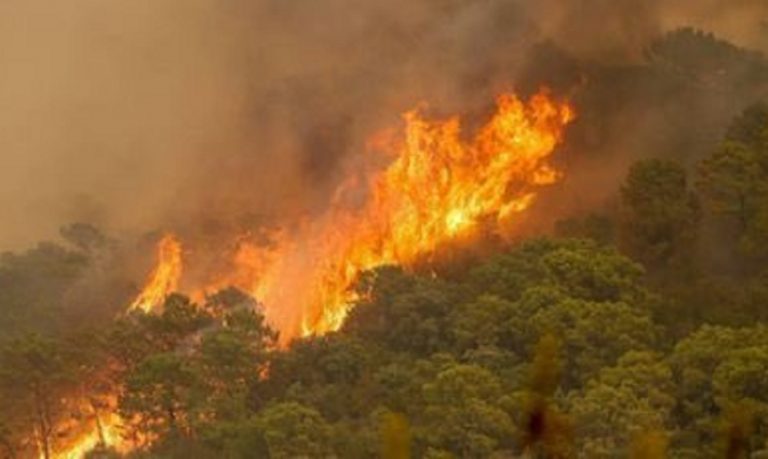 incendio tenerife