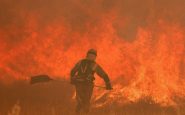 incendio Zamora