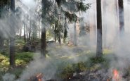 Galicia incendios