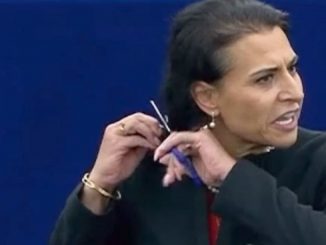 eurodiputada sueca pelo