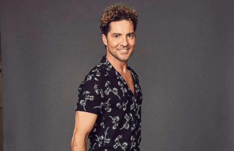 David Bisbal hermano