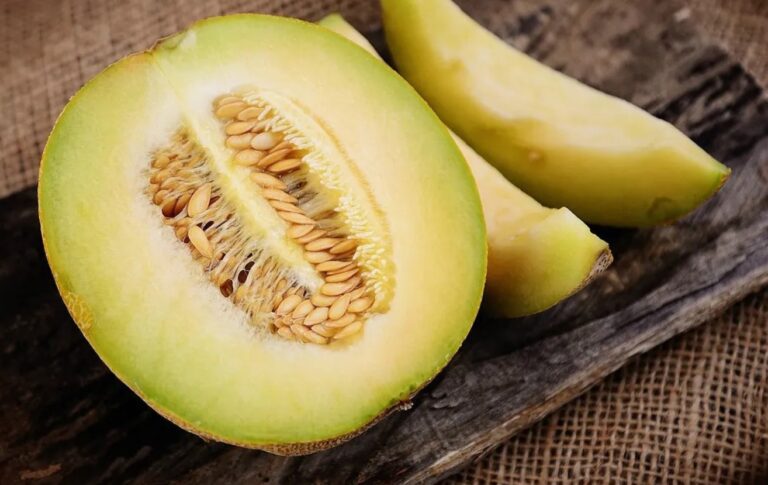 alerta alimentaria melón