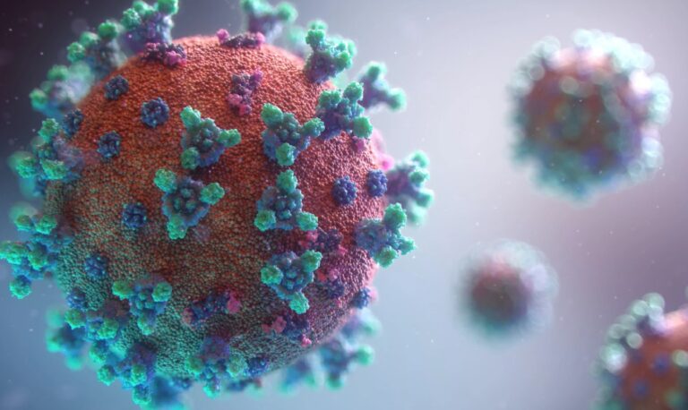 Eris coronavirus