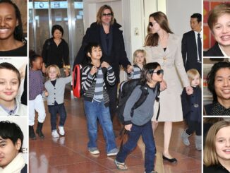 brad pitt hijos