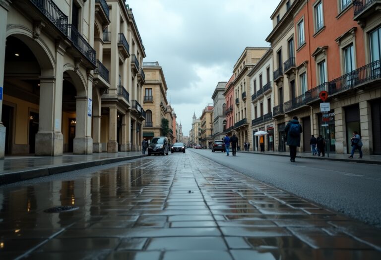 Immagine della gestione della DANA a Valencia