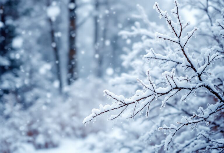 Immagine di forti venti e nevicate in Spagna