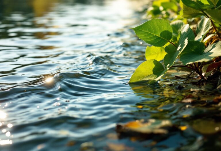 Uomo in acqua a Sevilla dopo tentativo di fuga dalla polizia