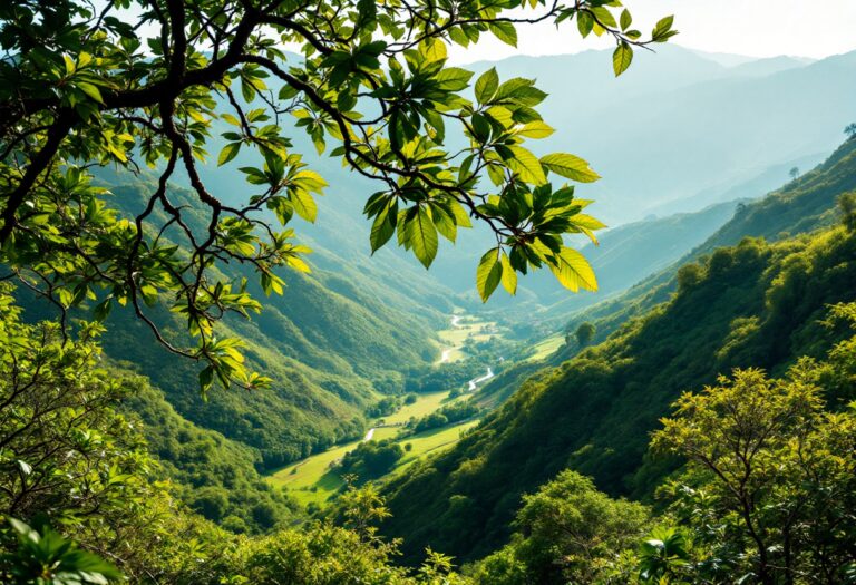 Immagine del Valle de Cuelgamuros in attesa di un concorso