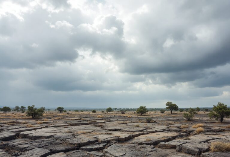 Immagine dell'asteroide 2024 YR4 in avvicinamento