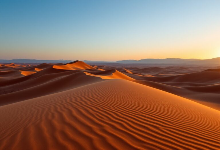 Mappa del Sahara Occidentale con bandiera saharaui