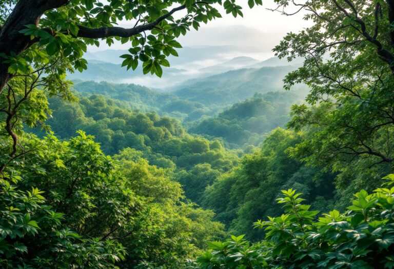 Riqueza natural y su impacto en la economía moderna