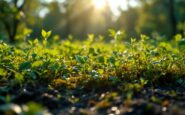 Planta de tratamiento de biorresiduos en Colmenar Viejo