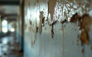 Immagine che mostra il deterioro delle strutture universitarie nel Paese Vasco
