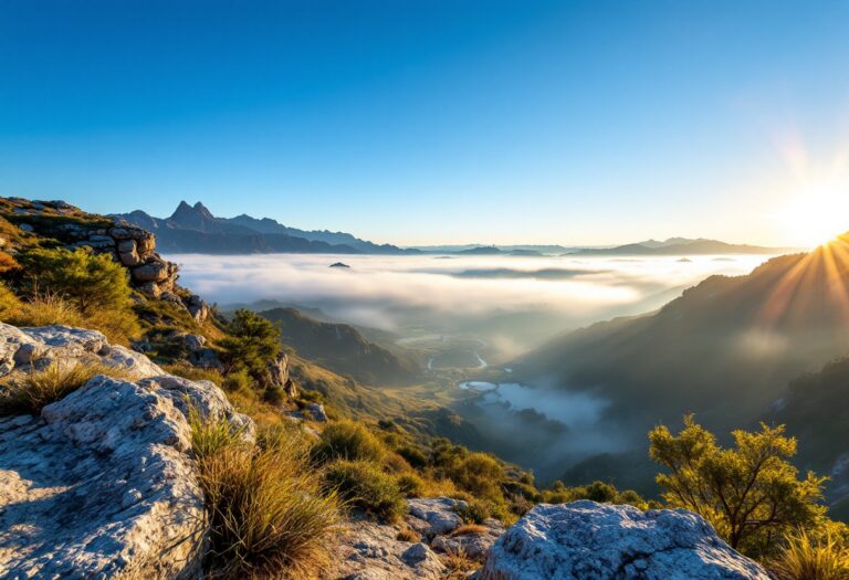 Immagine del Valle di Cuelgamuros con elementi culturali