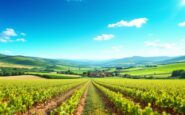 Grafico che mostra l'aumento della renta agraria in Catalunya