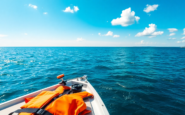 consejos vitales sobre seguridad en el mar python 1754588112