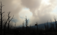 crisis de incendios en espana un analisis profundo python 1755090288