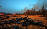 incendios en espana situacion actual y respuesta gubernamental python 1755344909
